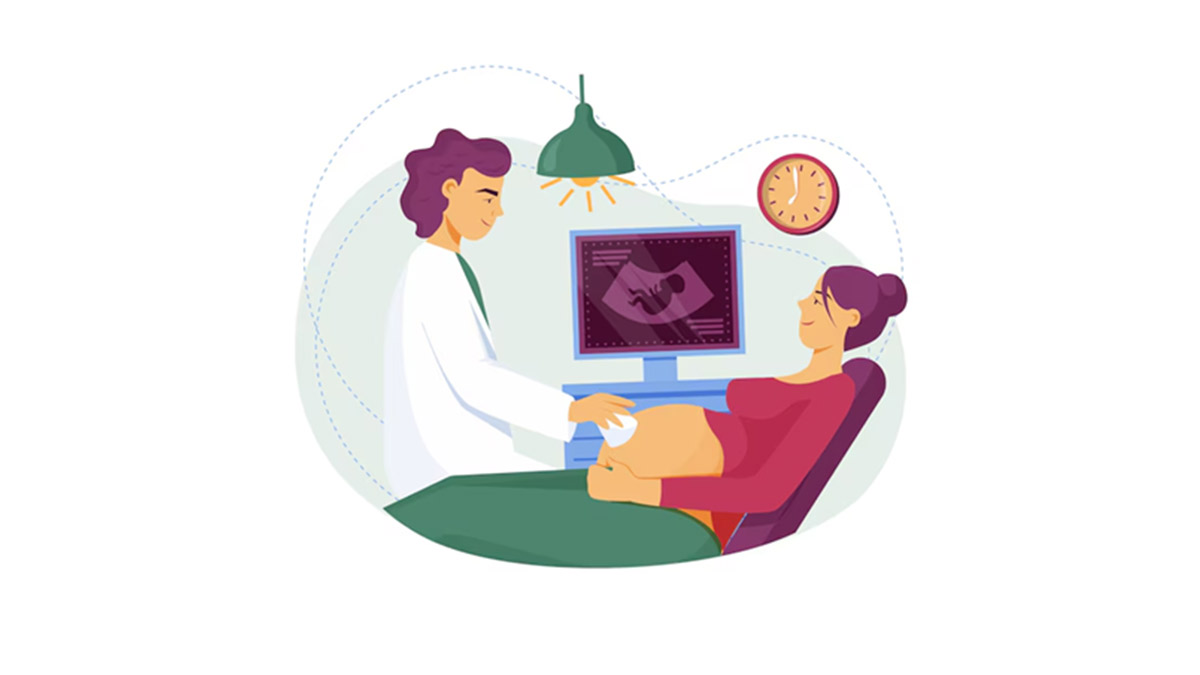 Understanding Pregnancy: From Planning to Preconception
