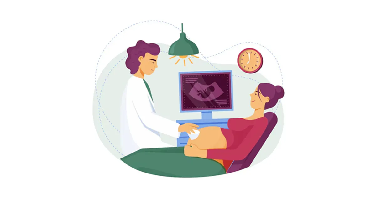 Understanding Pregnancy: From Planning to Preconception