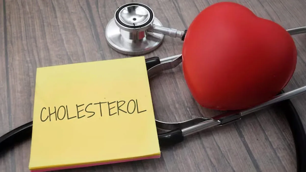 How Low Can Your LDL Cholesterol Levels Go? What Expert Recommends