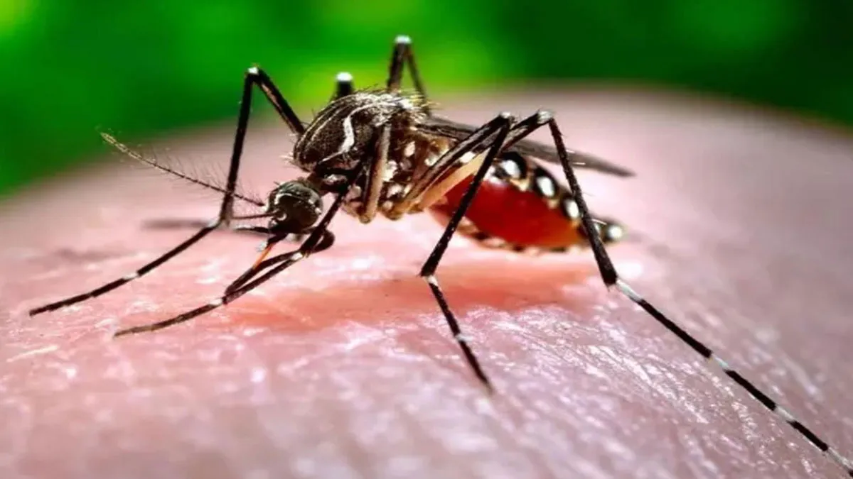 Alarming Zika Mutation Detected In Pune: NIV Scientists Raise Concern Over 2024 Strain
