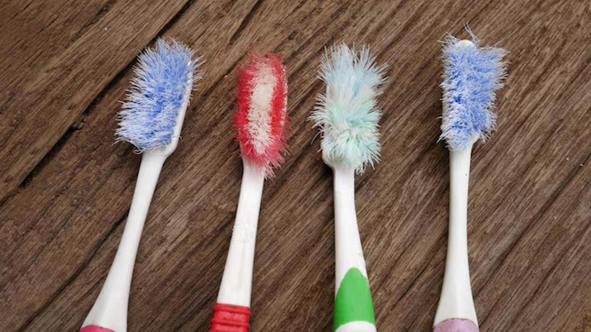 1 - 2025-03-04T135142.397