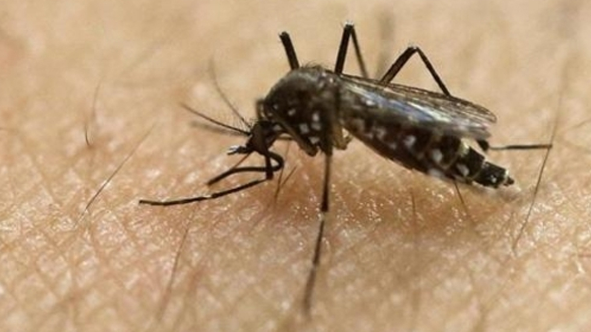 2-zika-mutation