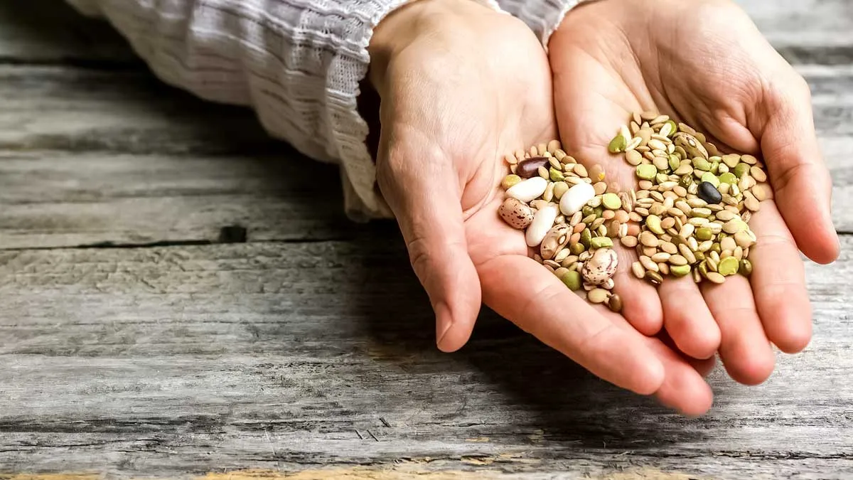 Expert Shares Exclusive Insights On Why Seeds Must Be A Part Of Your Daily Diet
