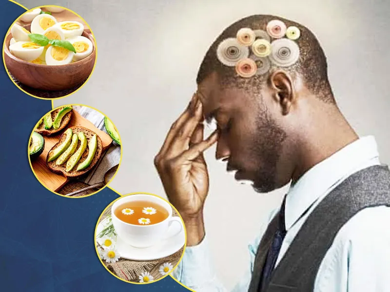 Can Certain Foods Damage Your Memory? Find Out Here