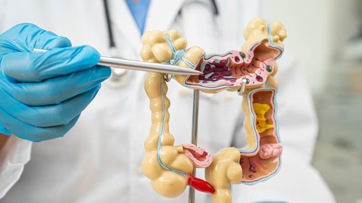 1 - 2025-03-11T145404.860