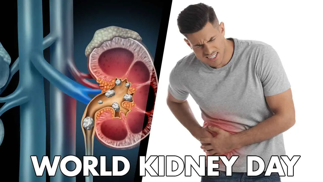 World Kidney Day 2025: Check Theme, History, and Significance

