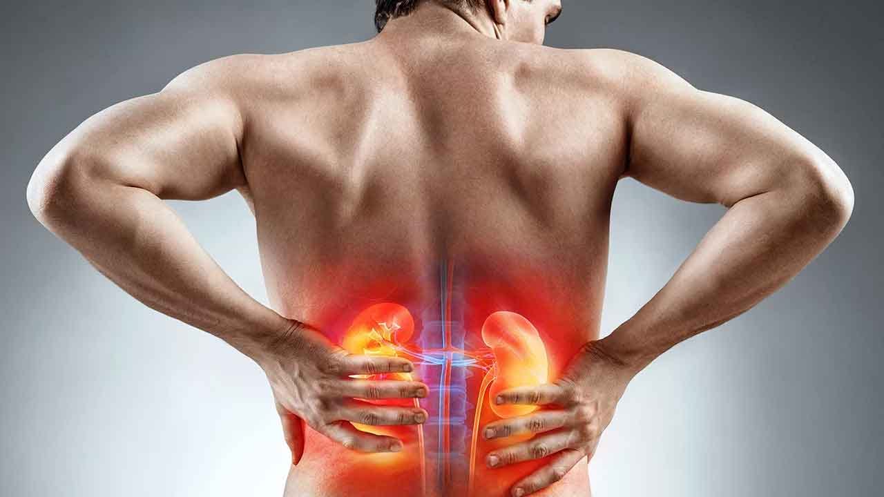 world kidney day 2025 WhatsApp Image 2025-03-13 at 08.15.45_35c7de02