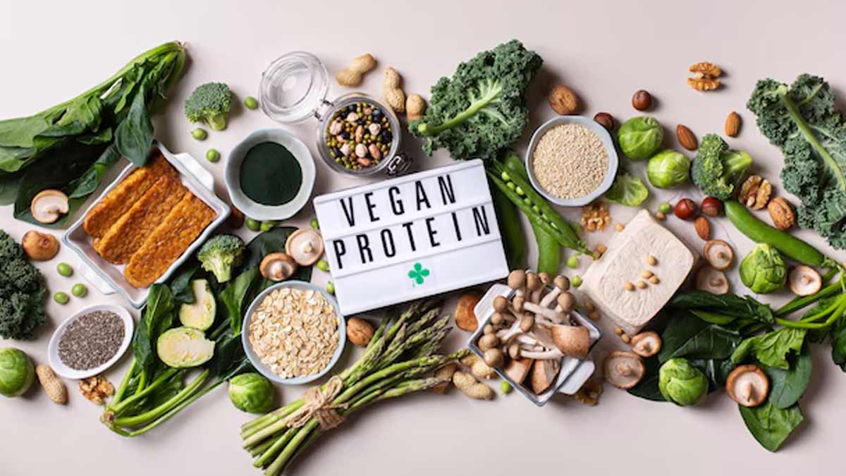 5 sources of vegan protein to maximize the absorption of proteins for the overall physical form