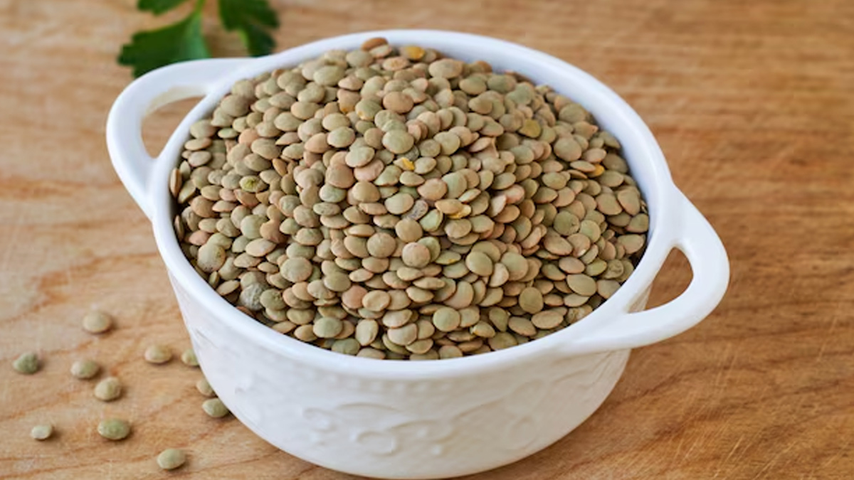 1 - 2025-03-17T113237.555