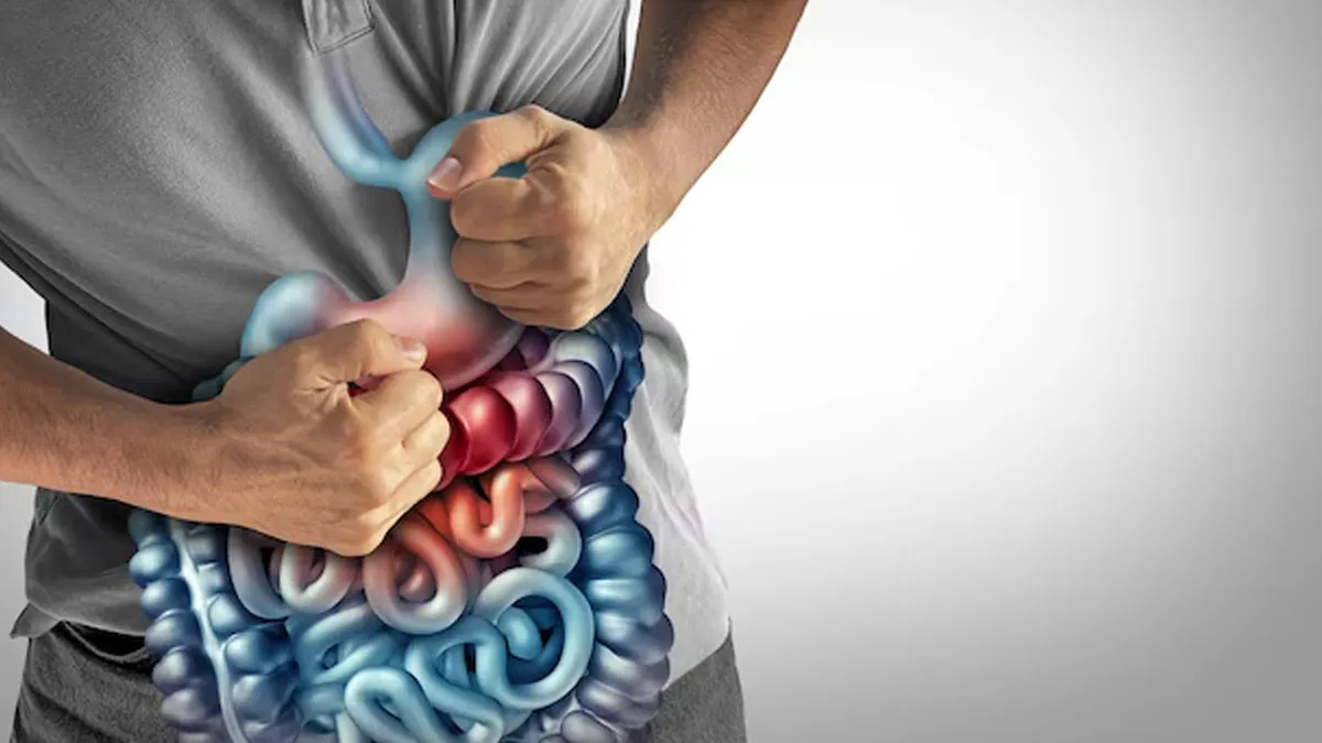 IBS Can Be Triggered By THESE Things! Expert Warns To Stay Cautious