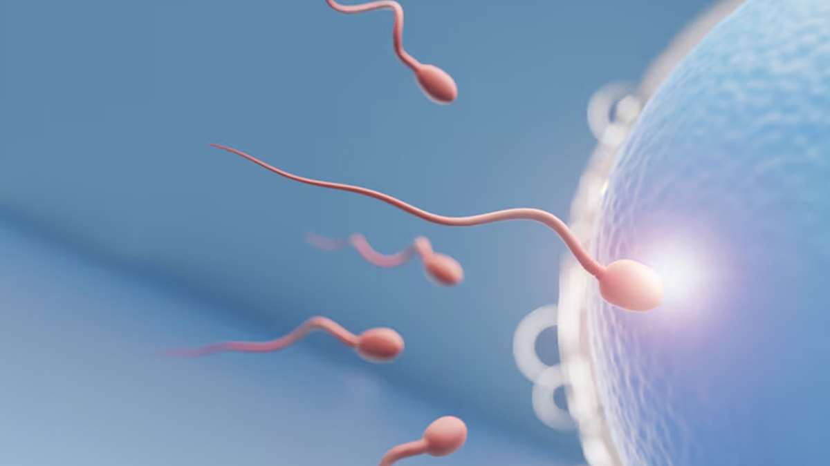 1 - 2025-03-19T123312.473