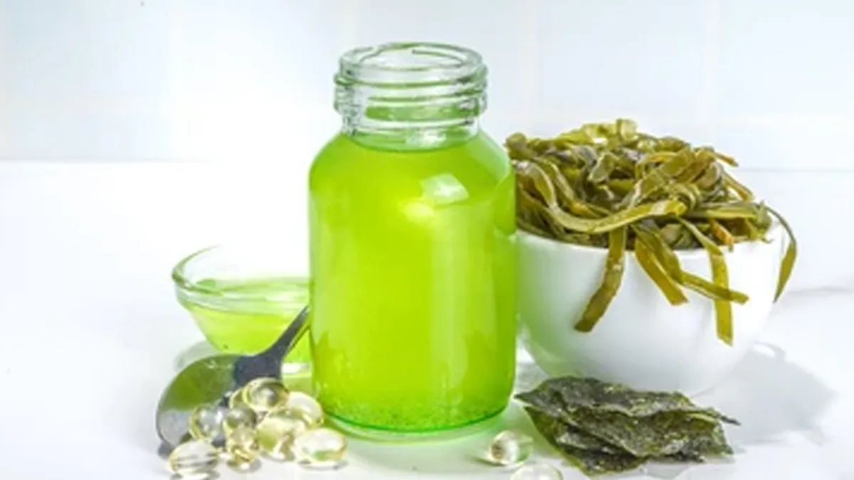 Is Algae Cooking Oil Healthy? (And Is It Good For You?)