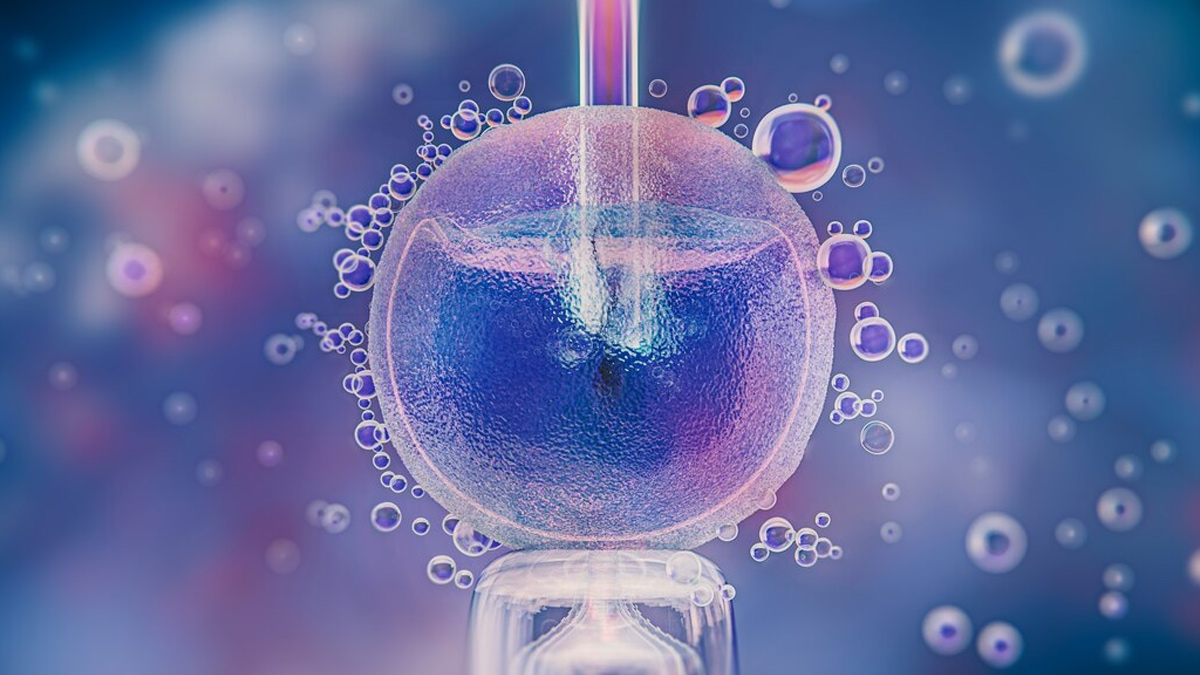 1 - 2025-03-24T142044.182