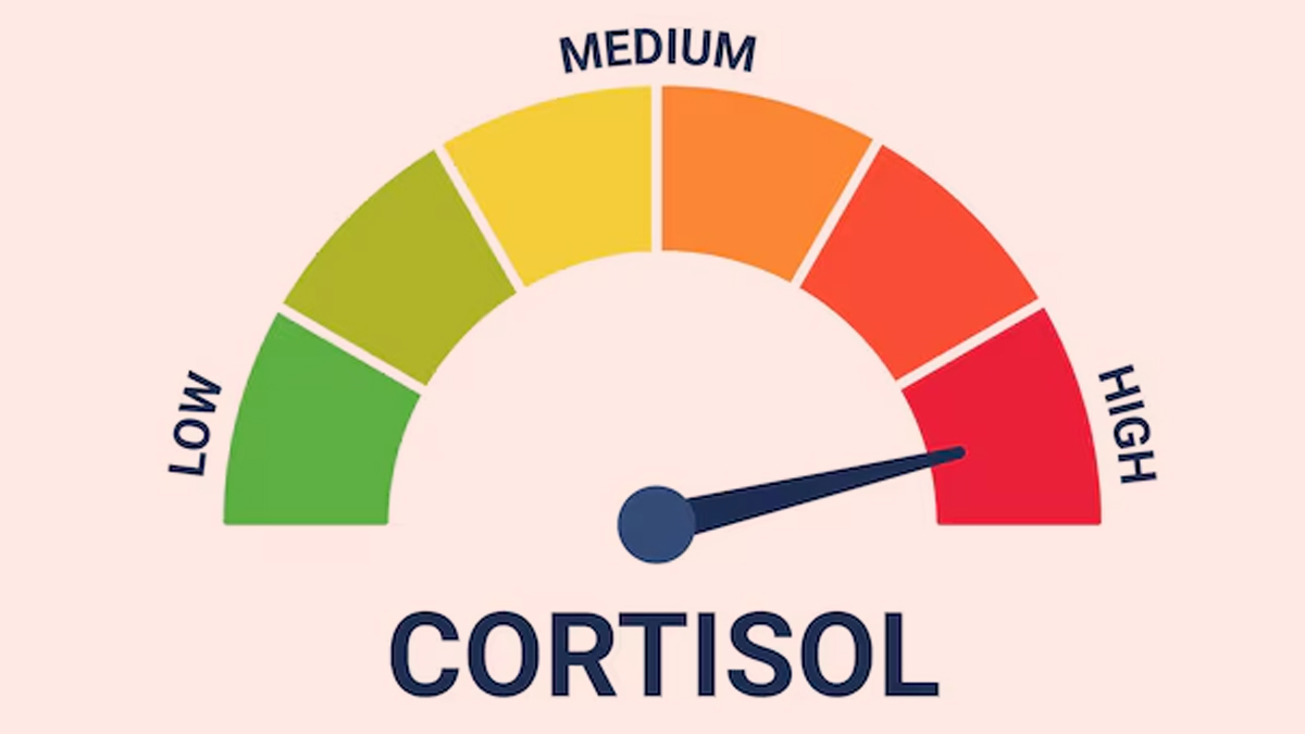 high-cortisol