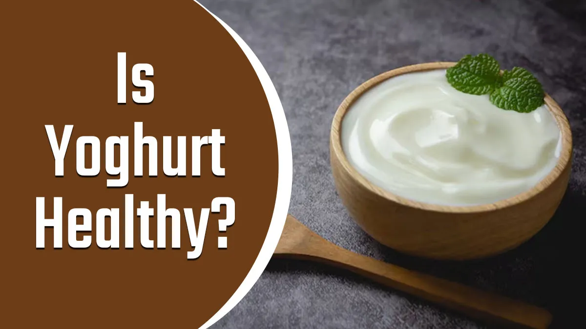 Is Yoghurt Really Healthy for Everyone? Ayurveda Expert Debunks Myths
