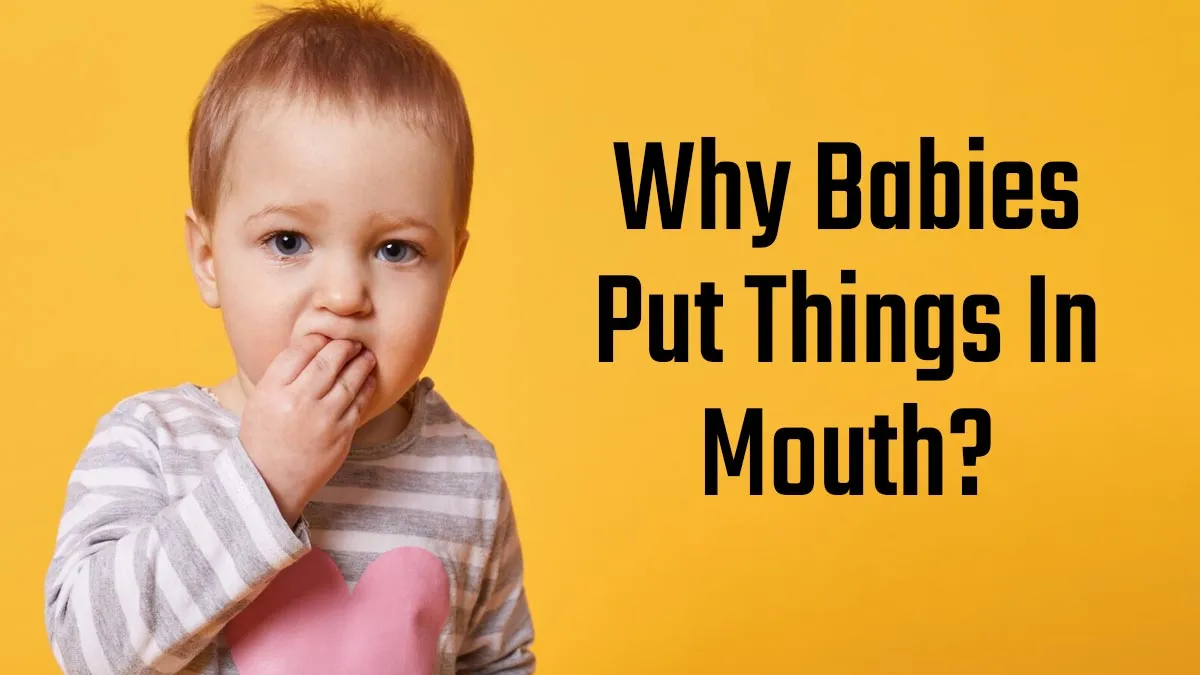 Why Do Babies Put Everything in Their Mouths? Expert Shares When Do Babies Start Mouthing
