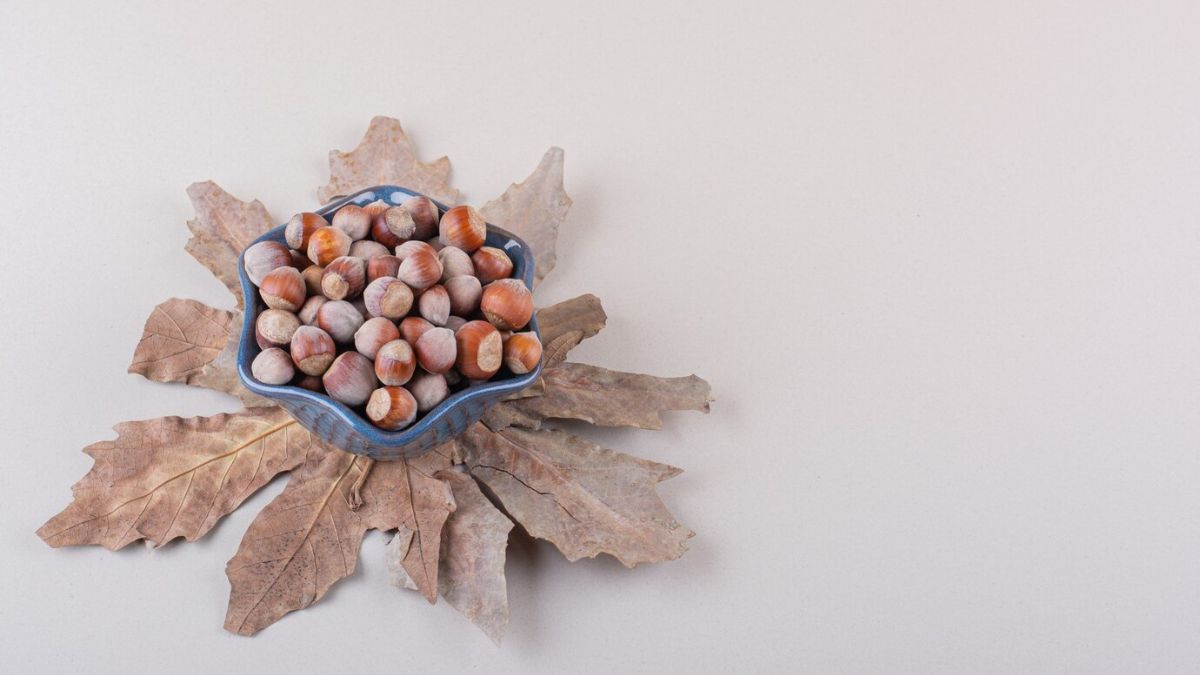 Health Benefits of Turkish Hazelnuts That Would Make You Eat Them Everyday