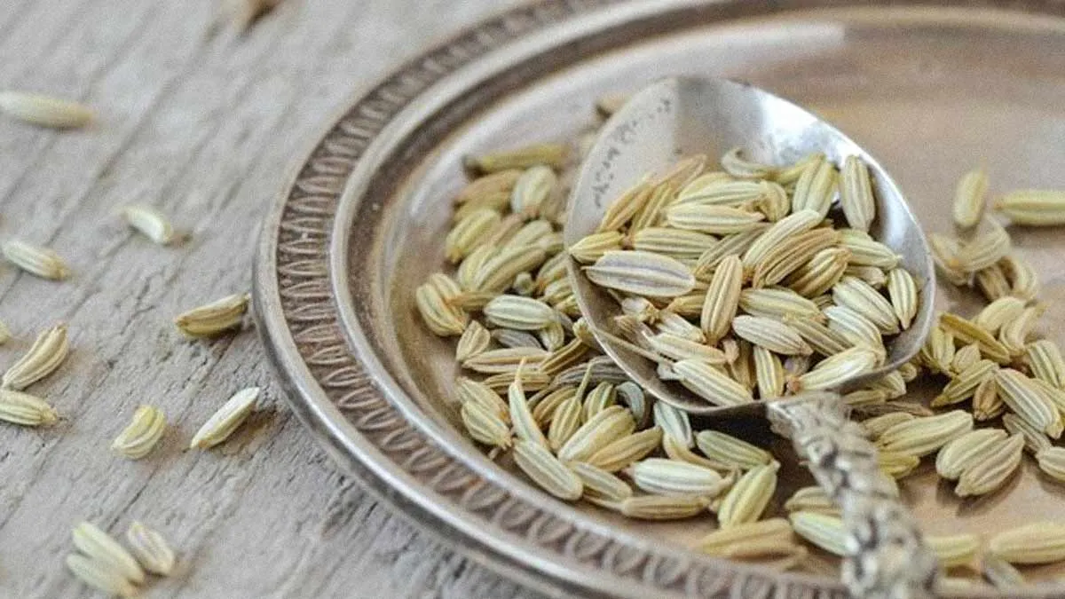 3 Ways Fennel Seeds Can Improve Kidney Health