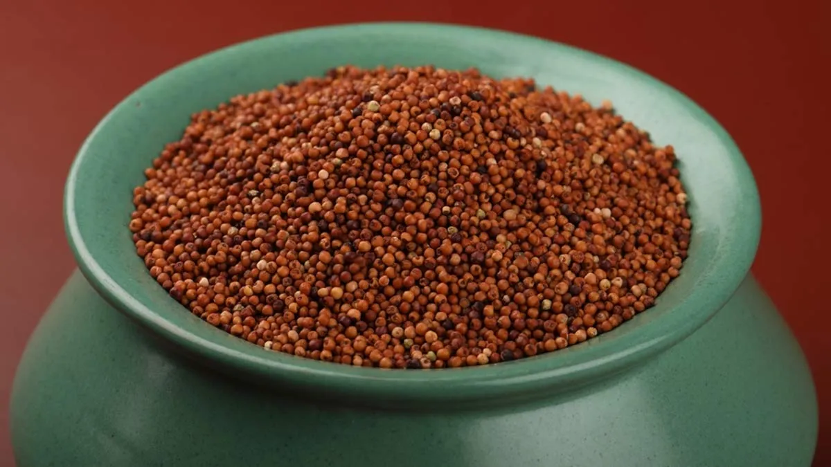Ragi Can Be Used to Make Tea Too: Here's How It Benefits Your Health