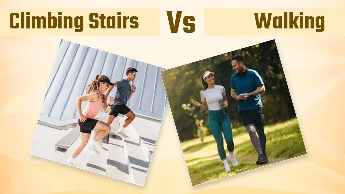 Climbing Stairs Or Walking: Which Burns More Calories and Why?