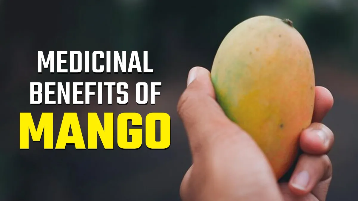 Can Eating Mangoes Lower Your Blood Pressure? Expert Shares the Medicinal Benefits