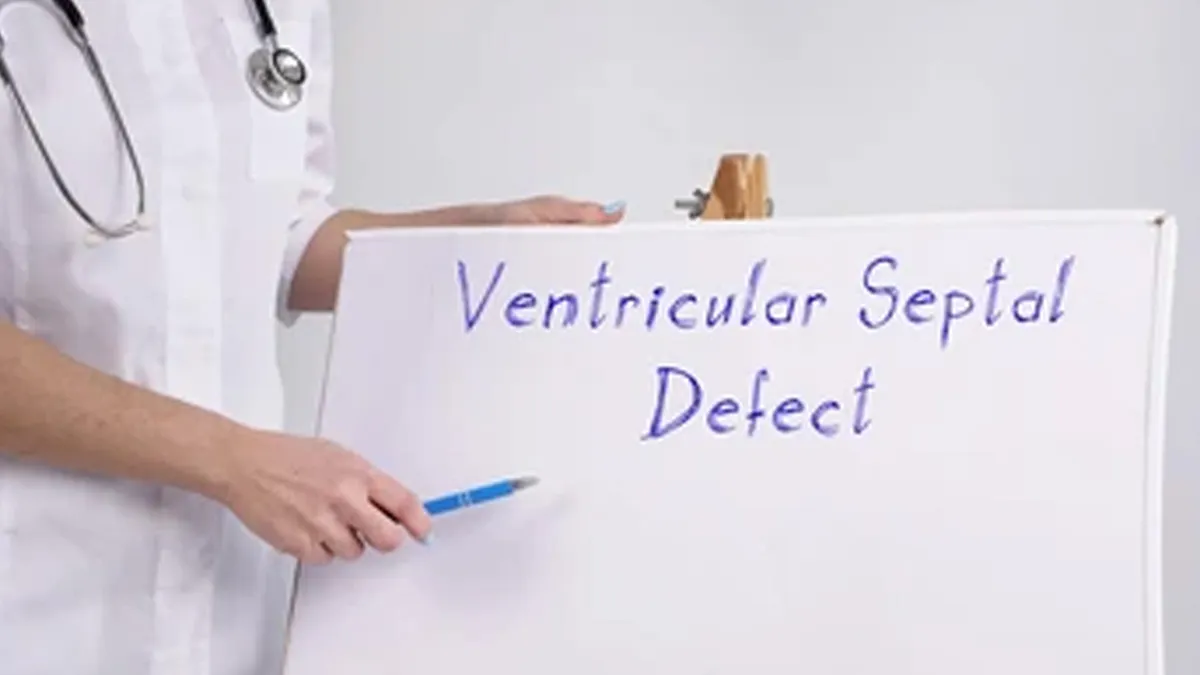 Ventricular Septal Defect In Newborns: What It Is And How To Treat It?
