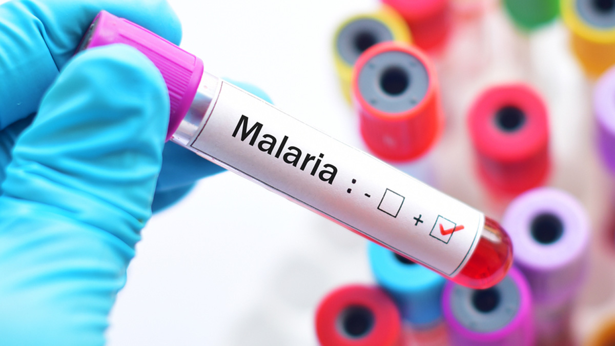 malaria