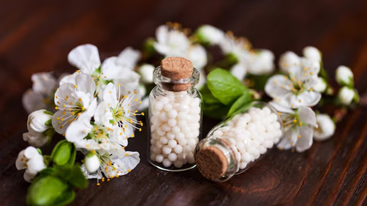 1 - 2025-04-10T122247.523