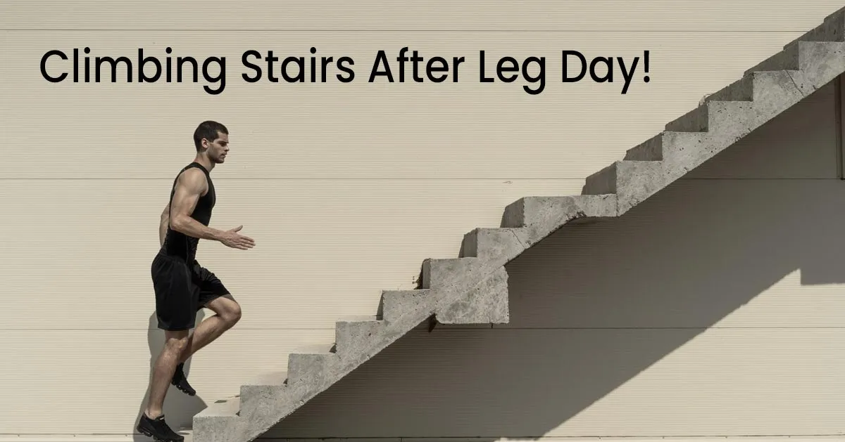 Why Stairs Feel Like Everest After Leg Day? Diet and Exercises That Can Be Your Saviour!