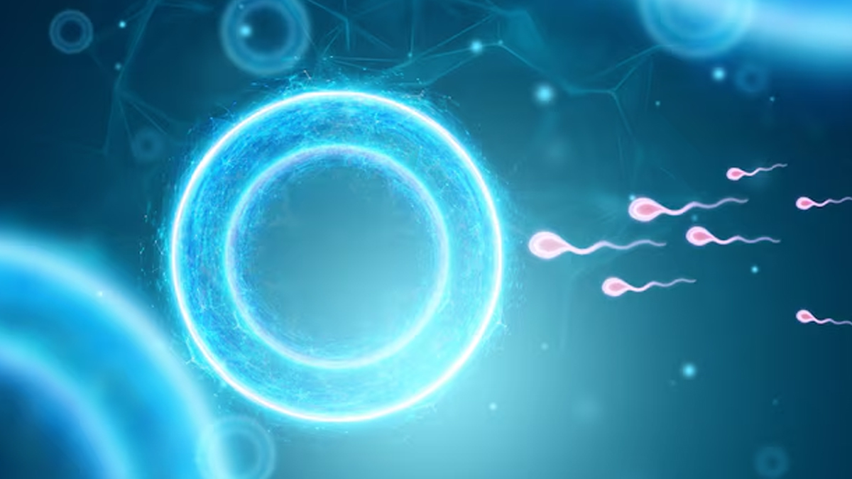 sperm race event 1 - 2025-04-16T124129.167