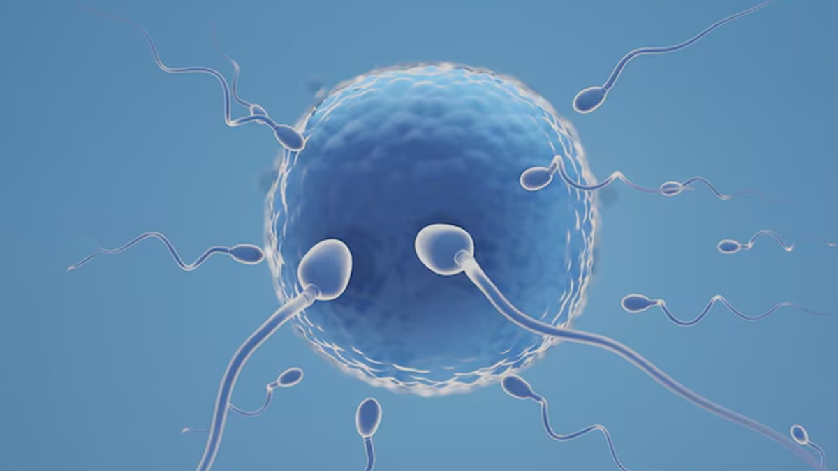 2 - 2025-04-21T135112.714