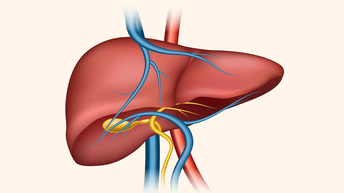 protect liver 1 - 2025-04-22T173344.745