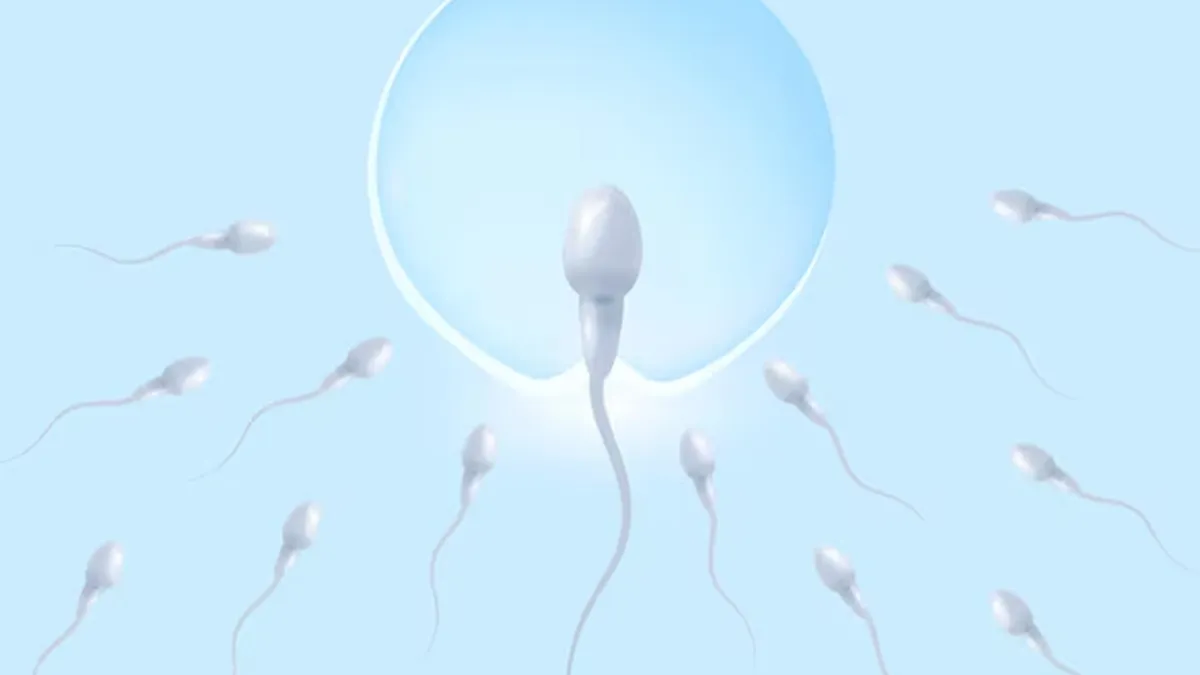 Summer Fertility: Expert Explains How Heat Affects Sperm Health And Tips To Stay Cool
