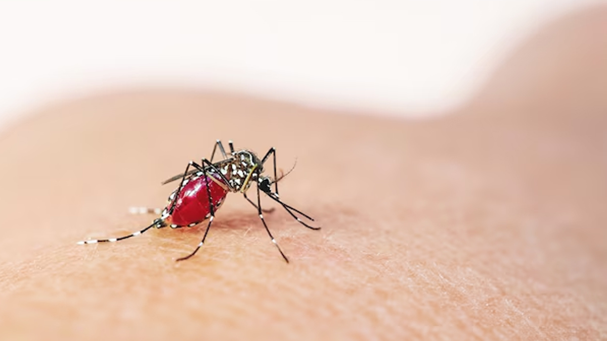 1 - 2025-04-24T101208.329