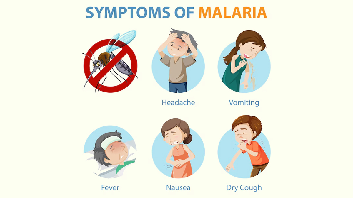 2 - 2025-04-24T101206.265