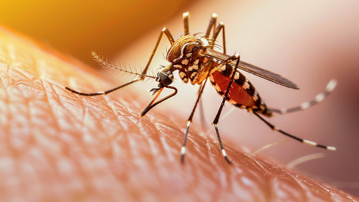 world malaria day significance 2 - 2025-04-24T115527.467