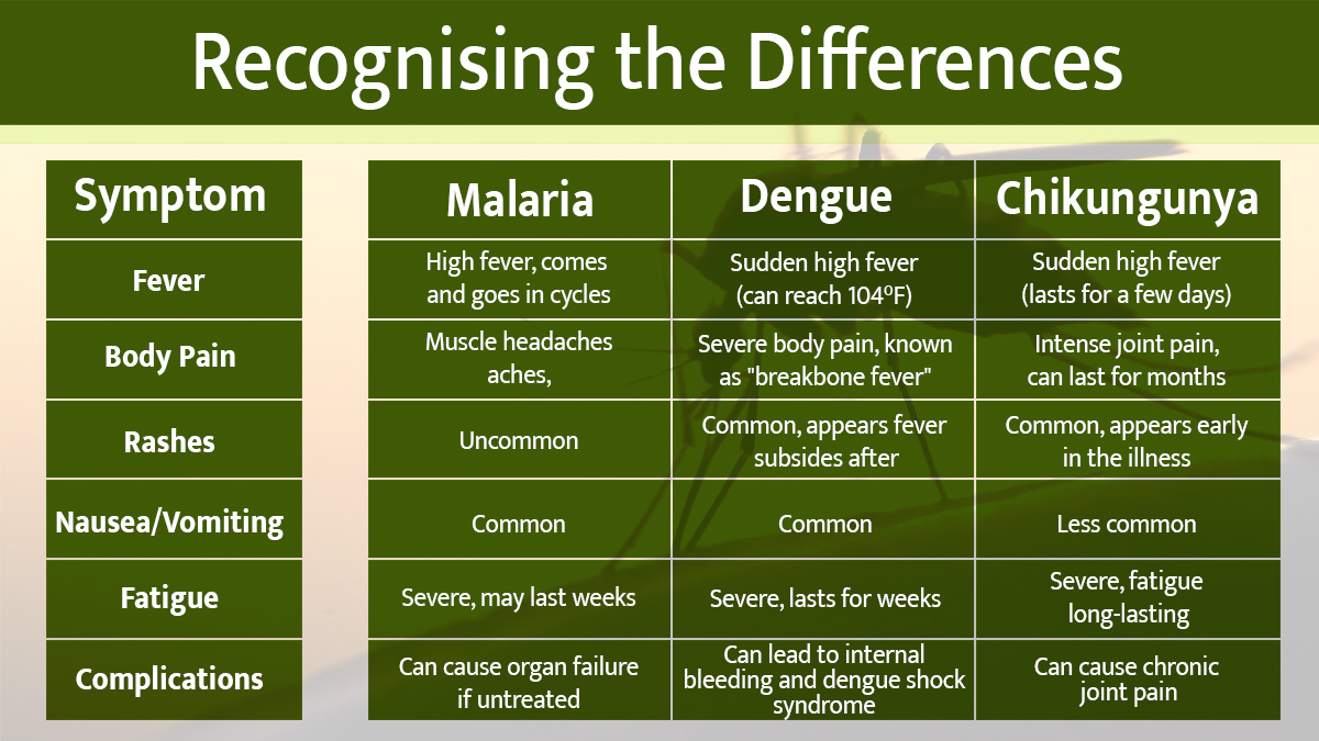 malaria-vs-dengue-vs-chikungunya