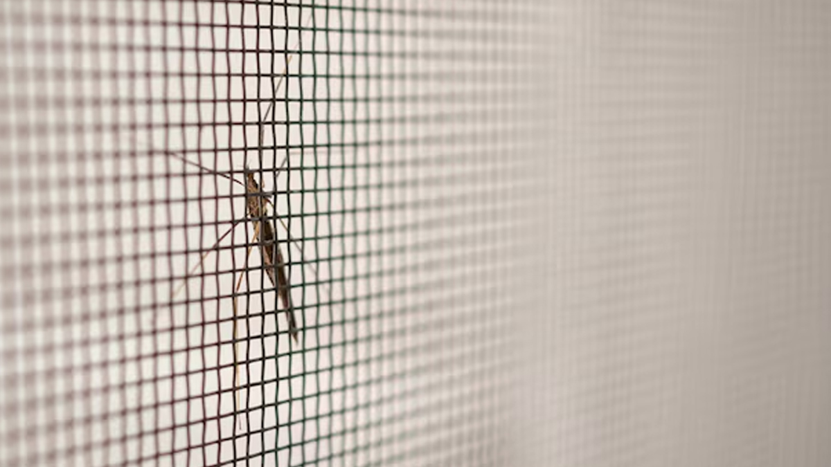 mesh-screen-for-mosquitoes