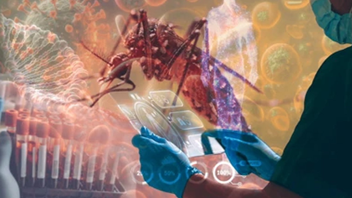 mosquito-borne-diseases