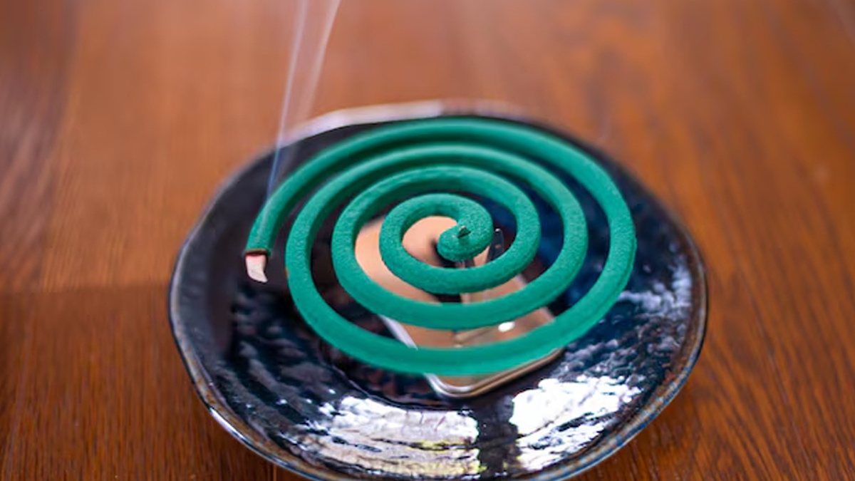 mosquito-coil