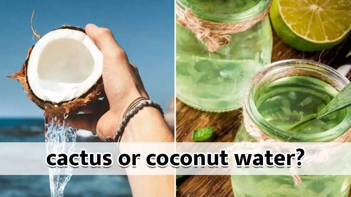 Cactus Water vs Coconut Water: Which One Wins for Health and Hydration?