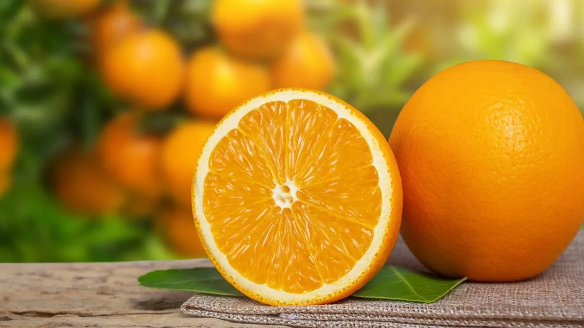 Orange Vs. Tangerine: What Is The Difference And Is One More Nutritious Than The Other?