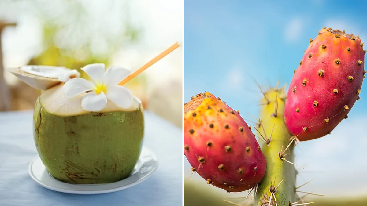 coconut water or cactus water 1 - 2025-04-29T162750.926