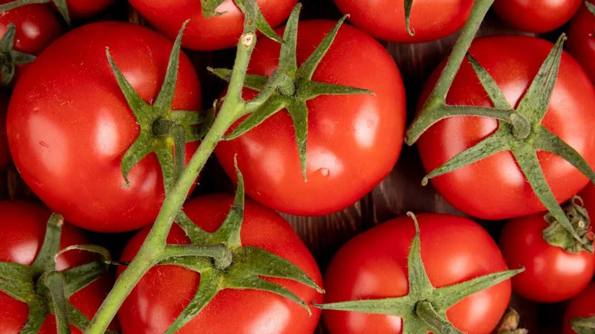 Tomatoes Contain Oxalates; So Can It Cause Kidney Stones?
