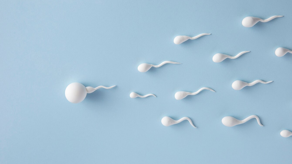 sperm-health