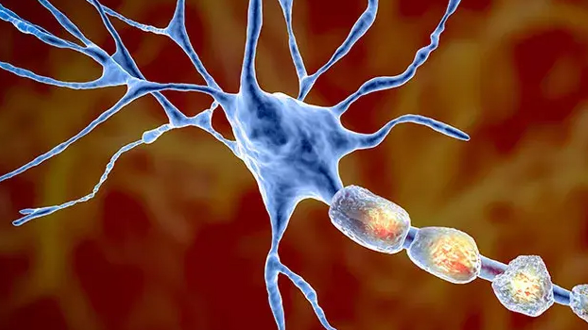 2 - 2025-05-02T152814.875