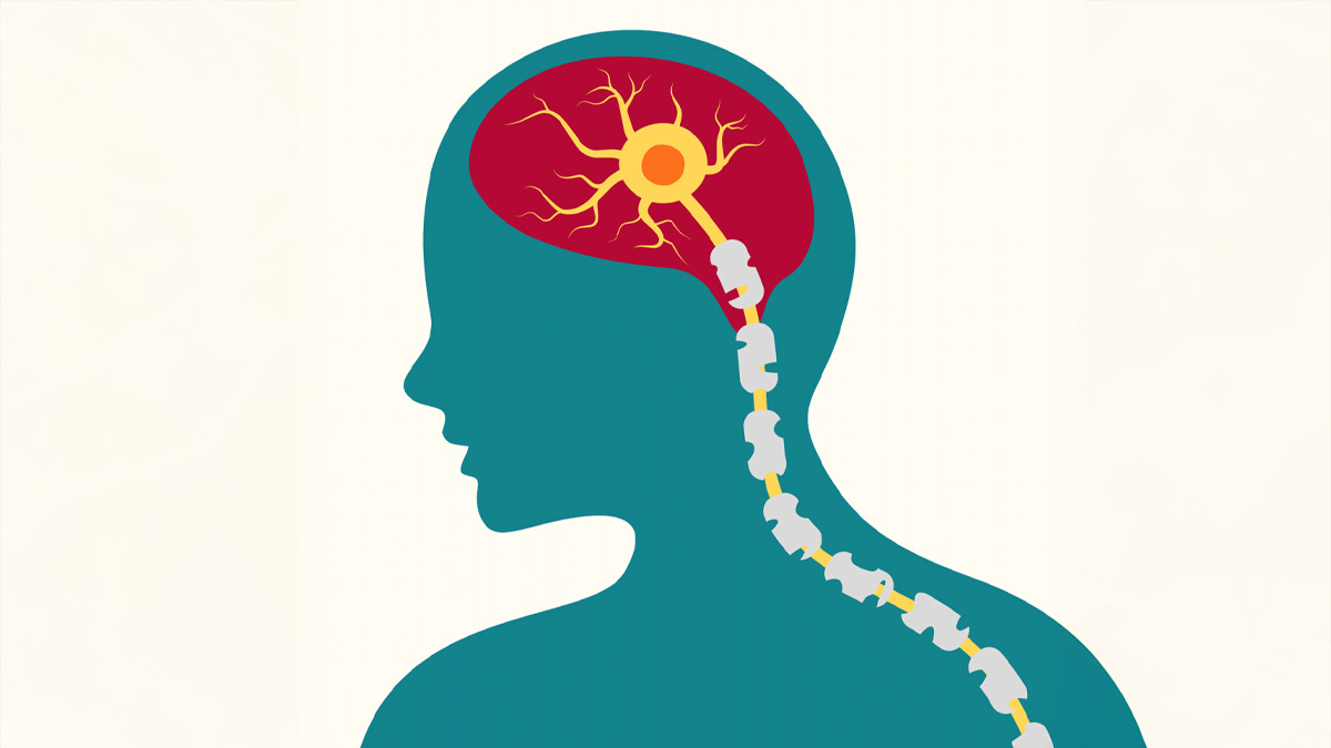 3 - 2025-05-02T152812.714