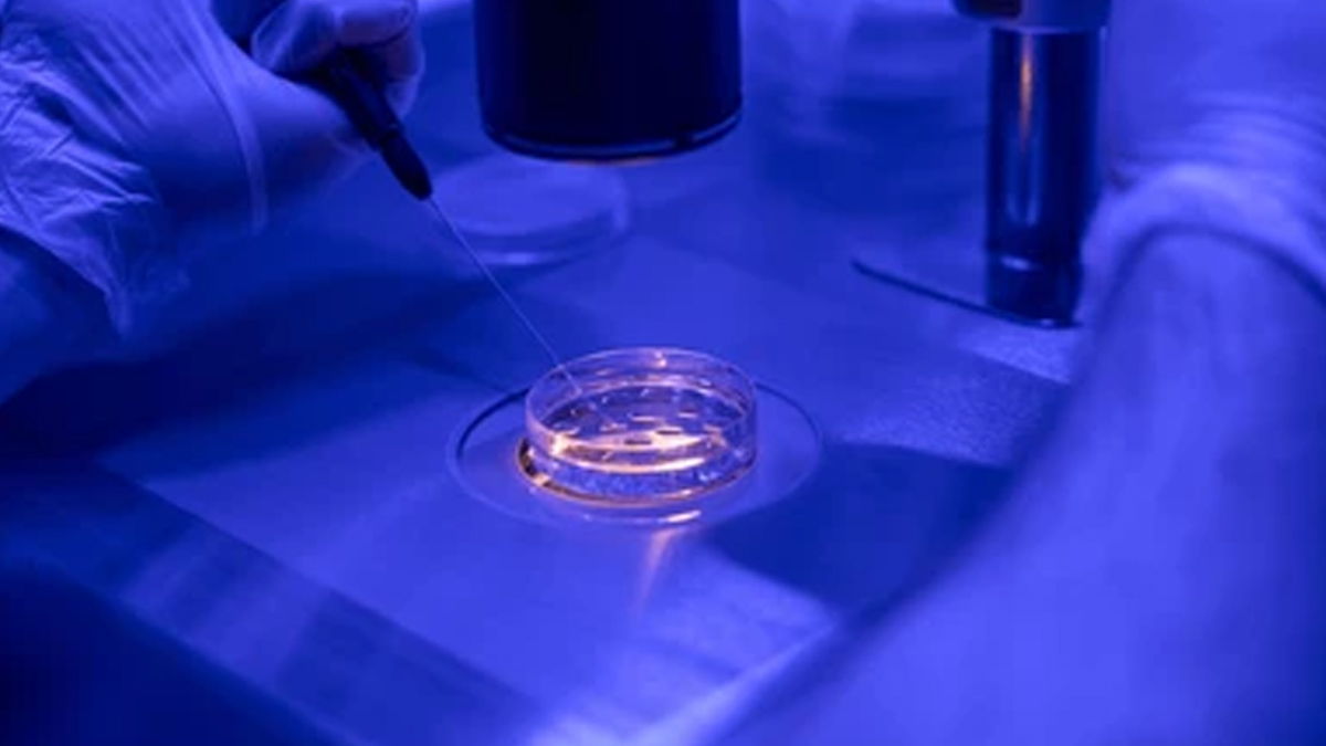 embryo-selection-by-AI