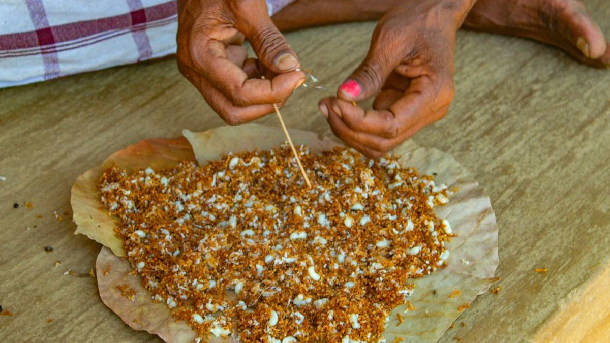 red aunt chutney 2 - 2025-05-05T153737.055