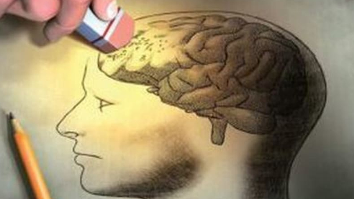 3 - 2025-05-05T105049.900